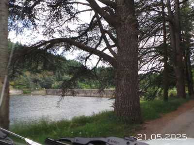 20250521_140347.JPG